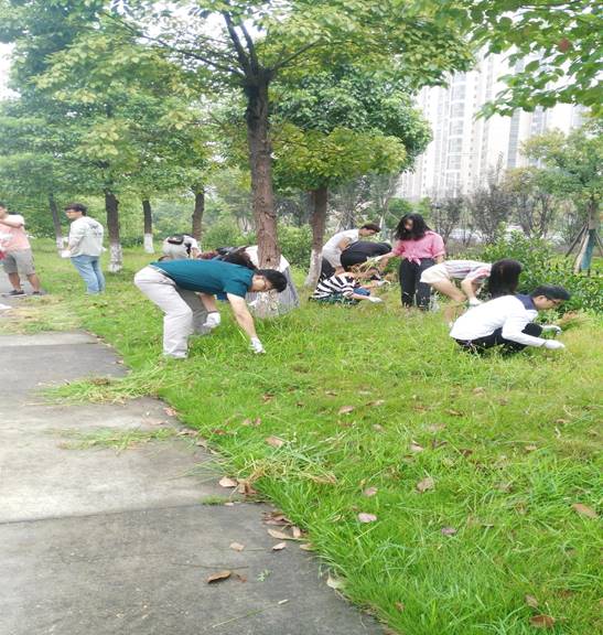 卫生大扫除 党员先行动IMG_20170905_150311